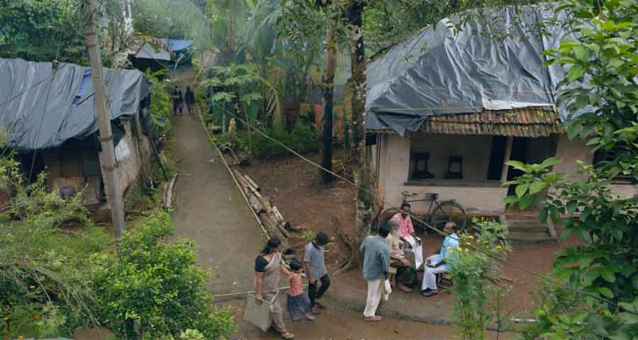 ELEPHANT IN THE ROOM