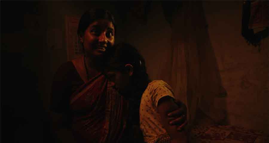 ELEPHANT IN THE ROOM