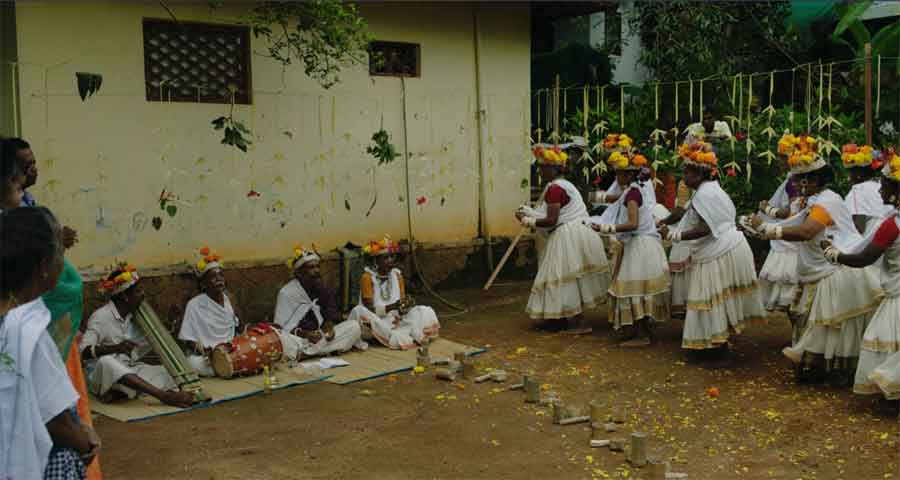 ELEPHANT IN THE ROOM