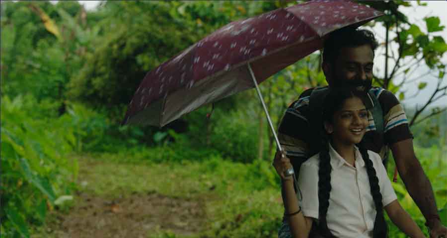 ELEPHANT IN THE ROOM