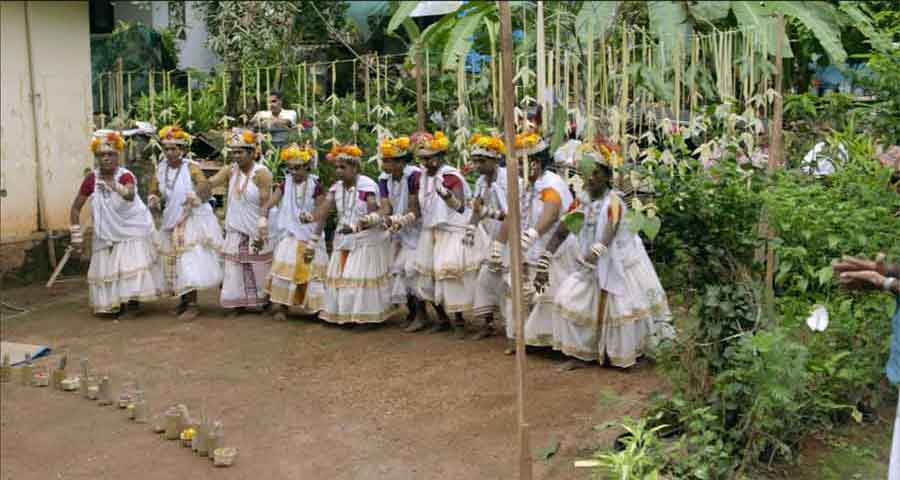 ELEPHANT IN THE ROOM